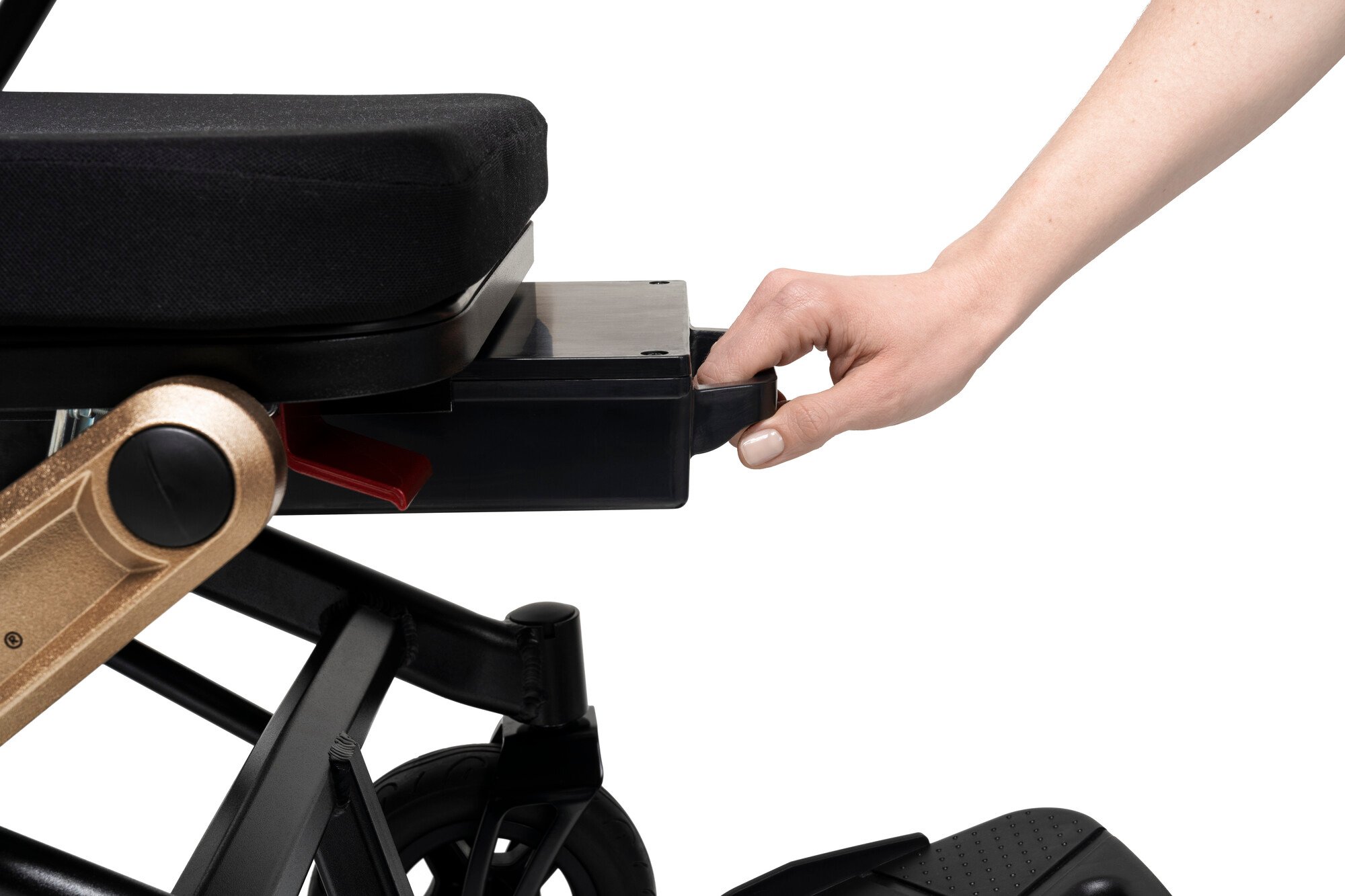 RS25792_ERIVO OF31-lpr